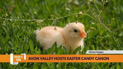 Bristol March 13 What’s on Guide: Avon Valley Country park host Easter events