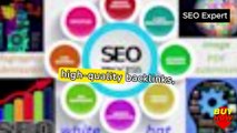 SEO Expert Backlinks Builder