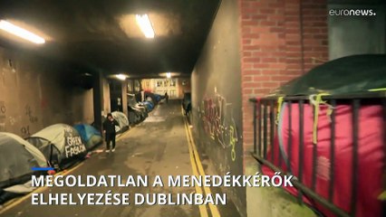 Kétszázan Közterületen Élnek Dublin Menedékkérelmi Hivatalánál 🏕️