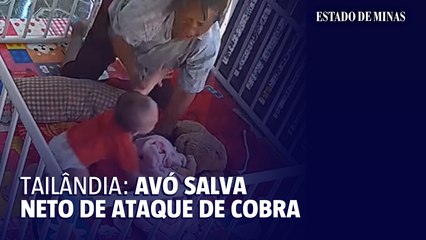 Avó salva bebê de ataque de cobra em cercadinho na Tailândia