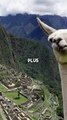 les mégalithes du Machu Picchu