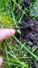 Room tour du potager Ep3 (Exclusivité Dailymotion)