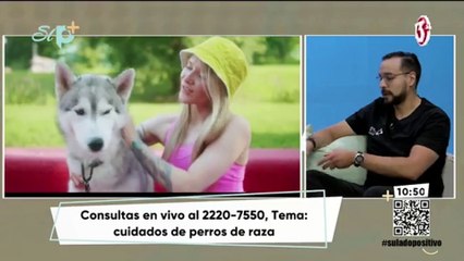 Cuidado de los perros de raza con el dr. Juan Carlos González