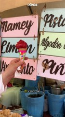 Lánzate a la Feria de la Nieve en Xochimilco 2024 ¡Habrá más de 200 sabores de nieve!