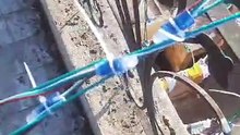 VID-20240201-WA0018