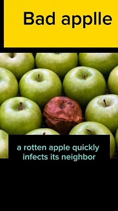 Daily idioms