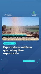 Exportadores ratifican que no hay libre exportación