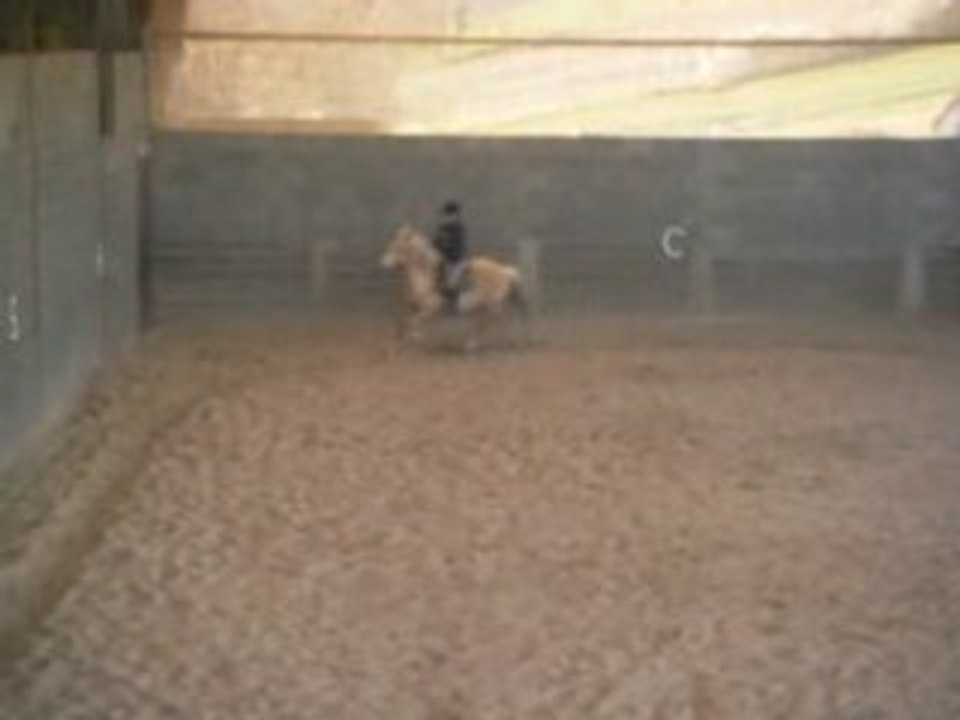 Dressage galo