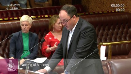 Jeremy Buckingham speaking about mental health funding