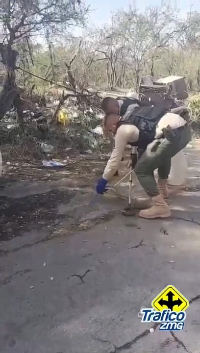 Una serpiente de dos metros de largo fue encontrada en calles de la colonia Colinas de Huentitán