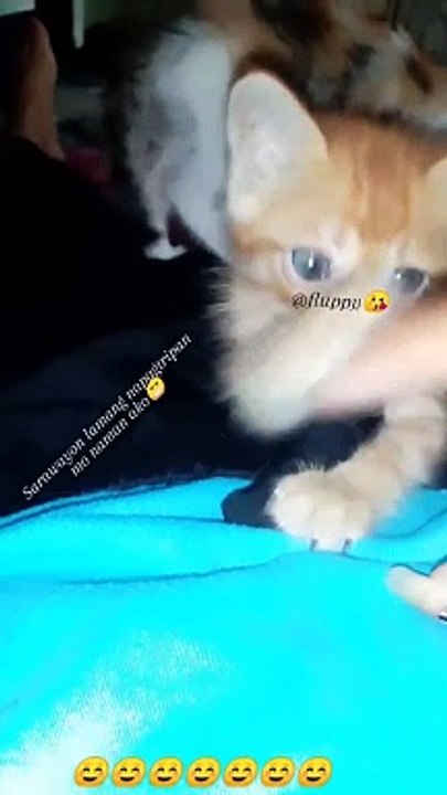 cute babies
