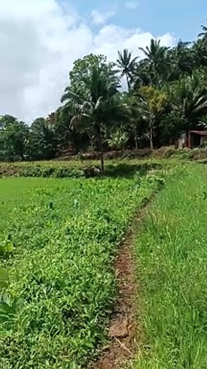 mini Video vlogs