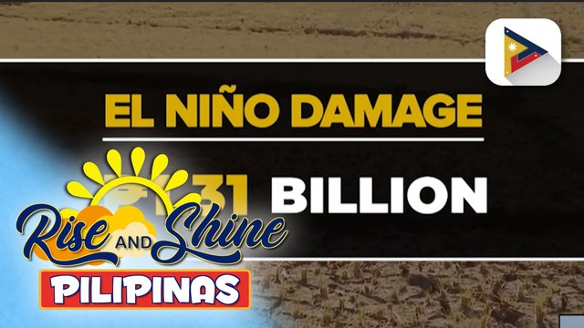 D.A., tiniyak na hindi pa malaki ang epekto ng #ElNiñoPH sa produksyon ng palay