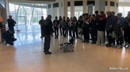 Cani reali e cani robotici, prove di convivenza a Rimini