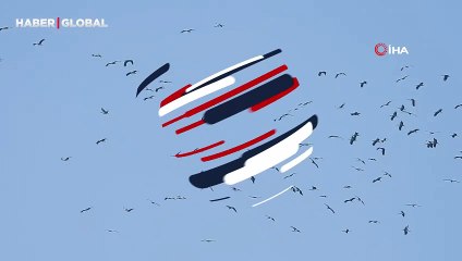 Göç yolundaki leylekler görsen şölen oluşturdu