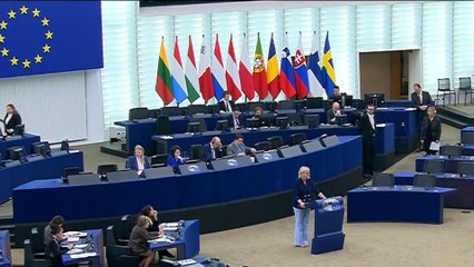 نواب بالبرلمان الأوروبي يطالبون بالوقف الفوري للحرب في غزة