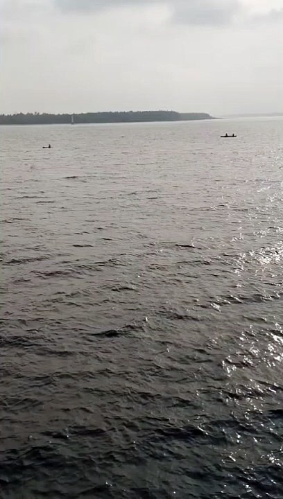 Waktunya mancing