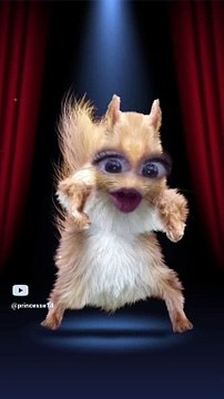 #dance #music #amapiano #viral #funny #remix #cute #comedy #drôle #challenge