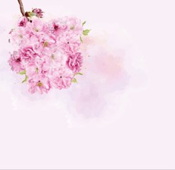 نوروز 1403 مبارک