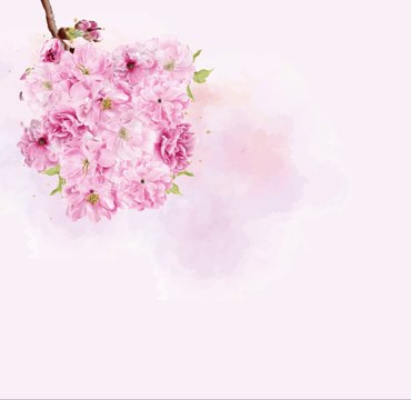 نوروز 1403 مبارک