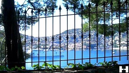 Survive in paradise with Michael The GlitterKing