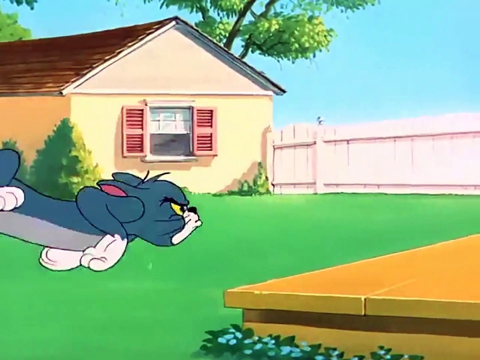 Tom And Jerry  - 060 - Slicked Up Pup (1951)
