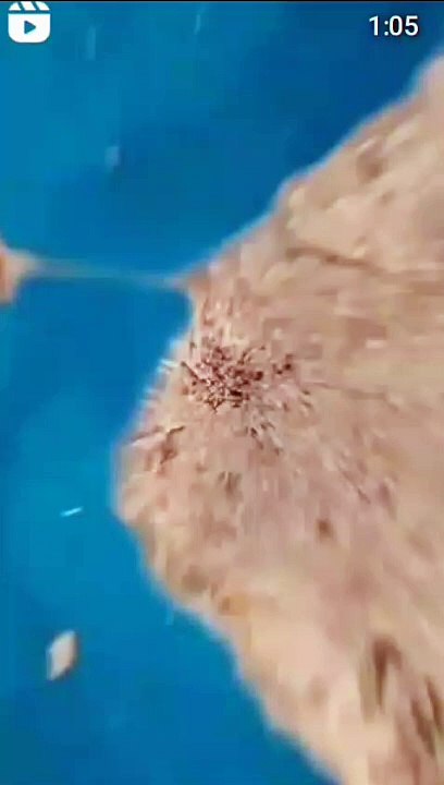 free online advertising ,learn internet marketing free,online free digital marketing