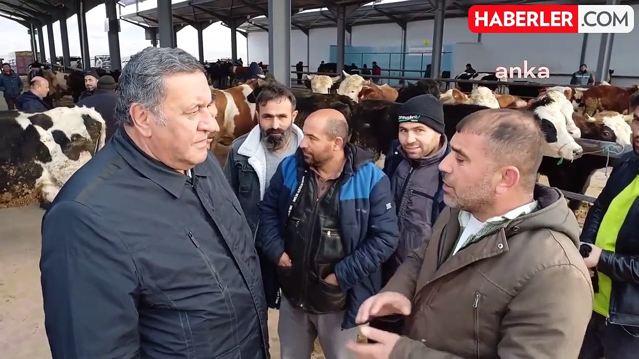 CHP Milletvekili Gürer, Niğde'deki Hayvan Pazarında Besicilerin Sorunlarını Dinledi