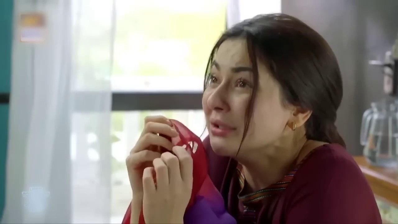 Mere Humsafar EP- 25 Full Episode