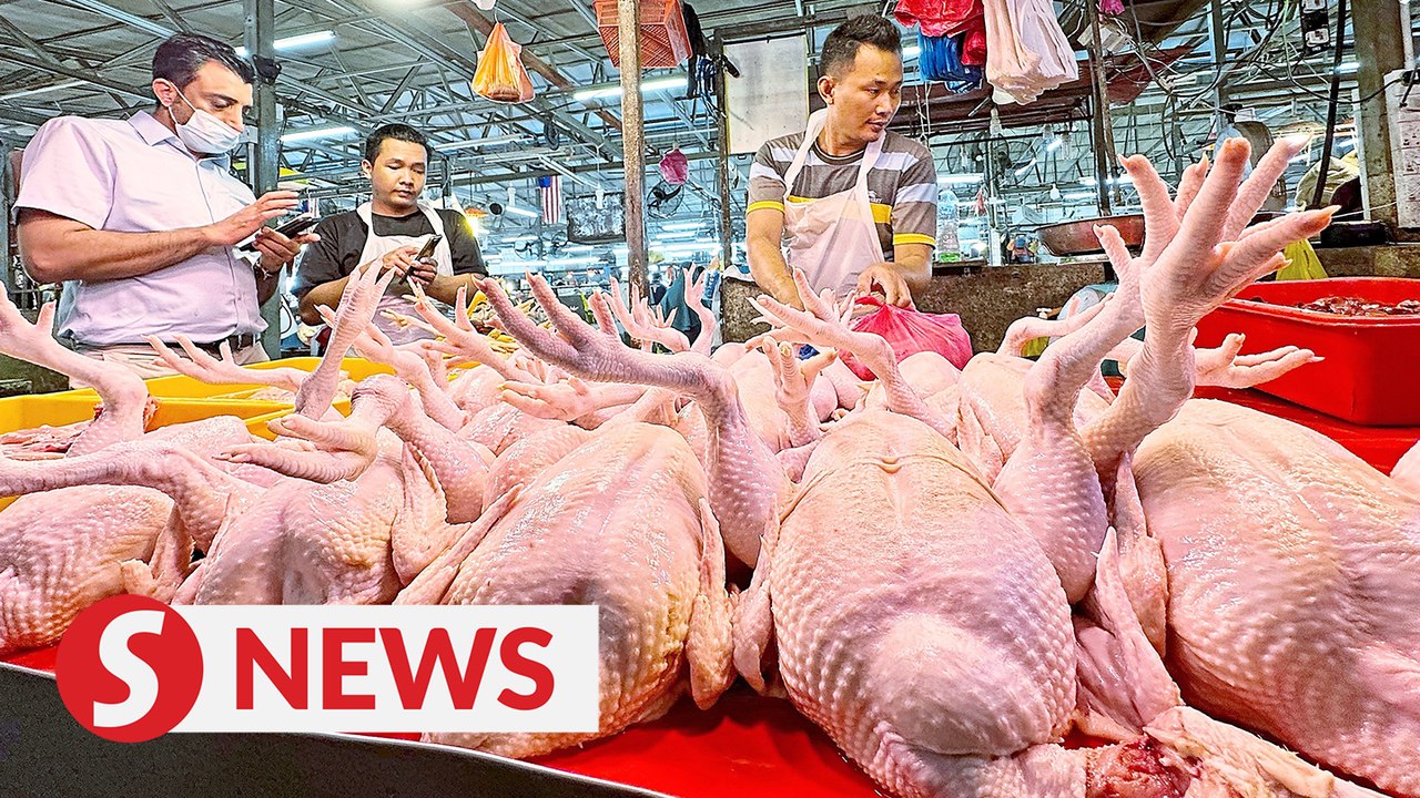 Prices, supply of chicken currently stable, Mat Sabu tells Parliament