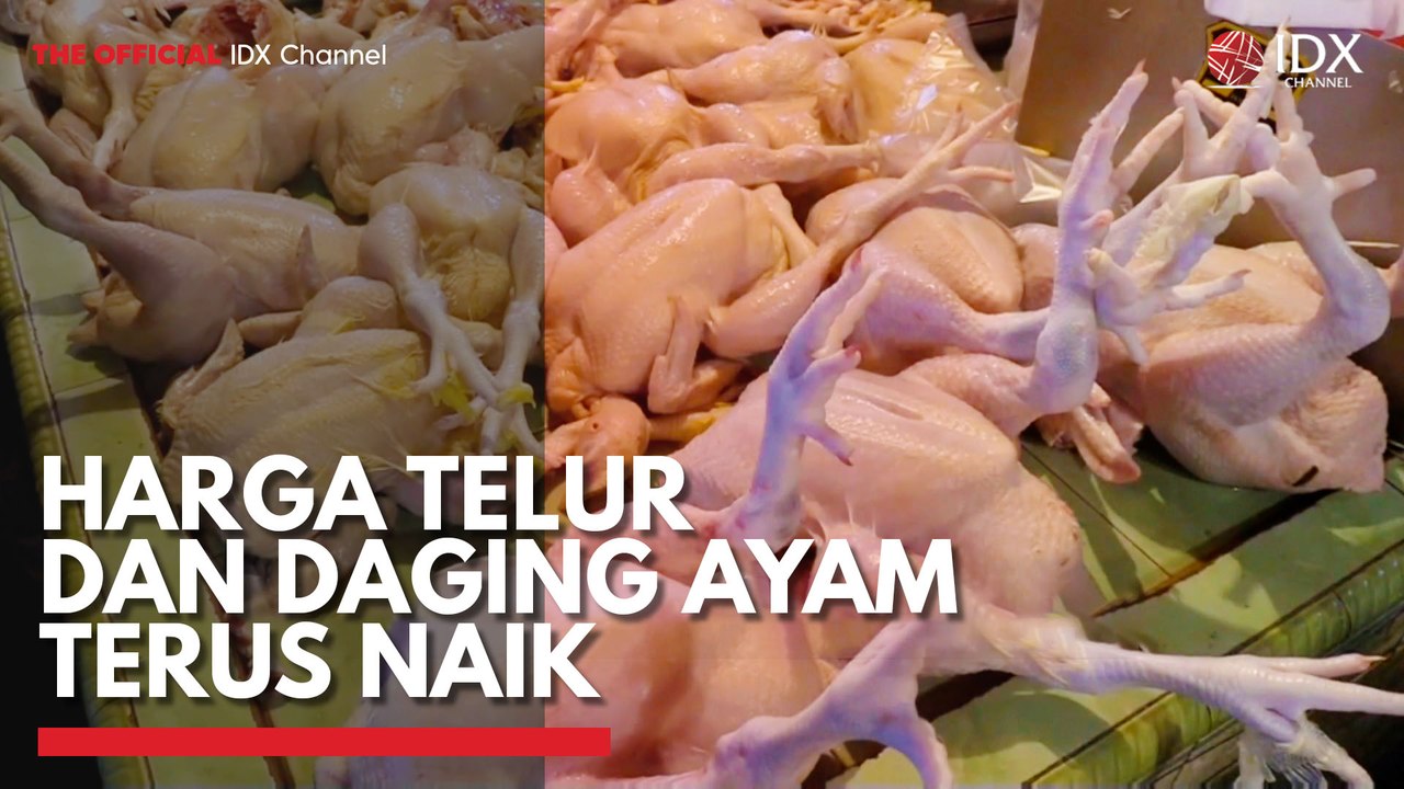 Harga Telur dan Daging Ayam Terus Naik