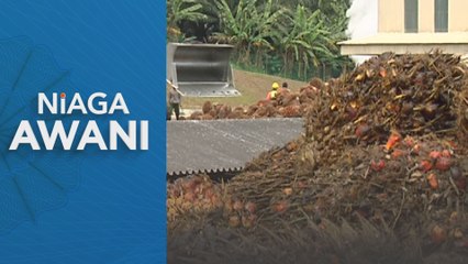 Niaga AWANI: Tingkatkan hasil jika mahu kekal relevan - Johari