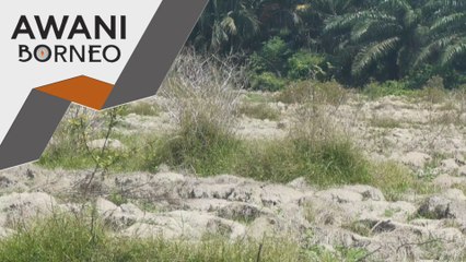 El Nino beri cabaran besar kepada pengeluaran keselamatan makanan di Sabah