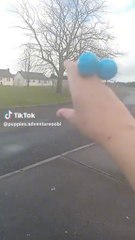 Puppies Go Outside age 10