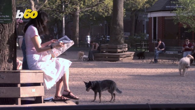 Dog Owners Can Be So Annoying Sometimes