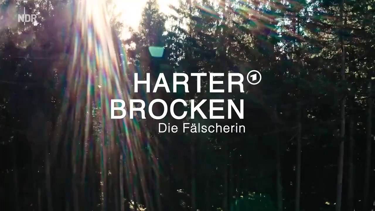 Harter Brocken -05- Die Fälscherin