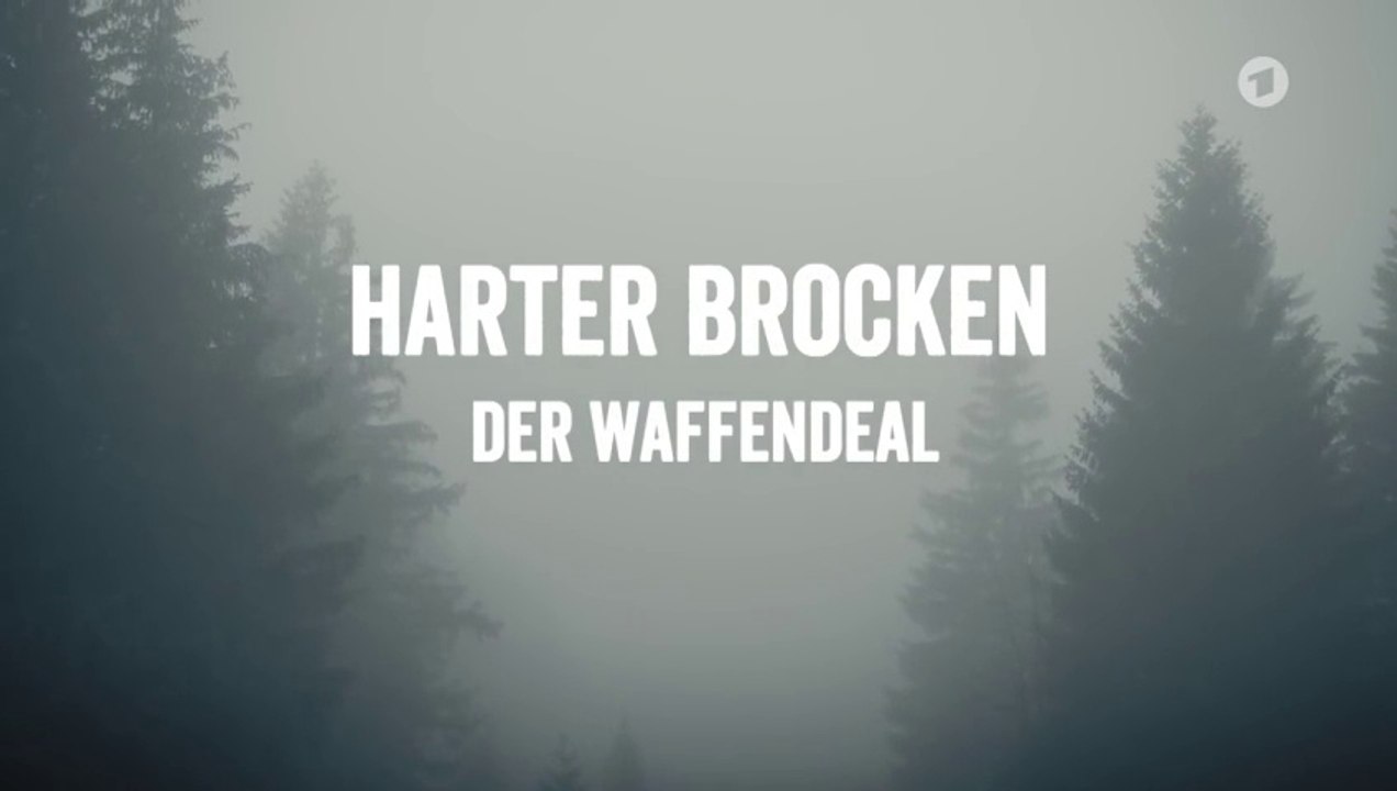 Harter Brocken -06- Der Waffendeal
