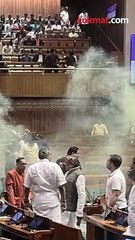 संसदेत घुसखोरी, सरकारवर नामुष्की-'त्या' खासदाराचं काय झालं-