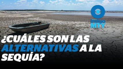 Alternativas ante un NL sin agua | Reporte Indigo