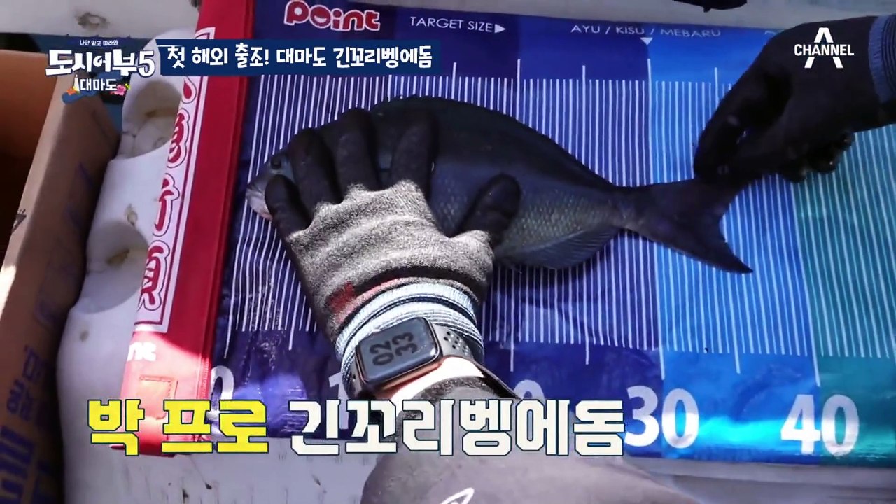 [#도시어부5] 첫 해외 출조 대마도! 긴꼬리벵에돔 천국의 기운이 느껴진다..