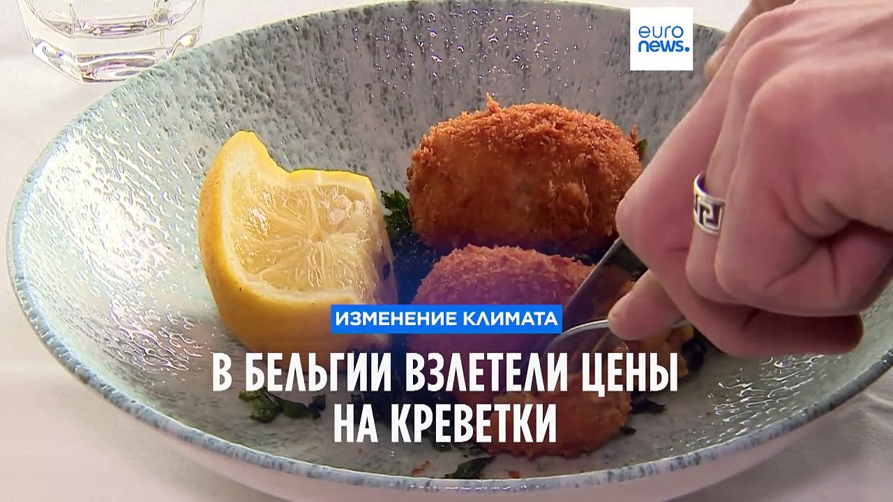 Изменение климата: в Бельгии взлетели цены на к...