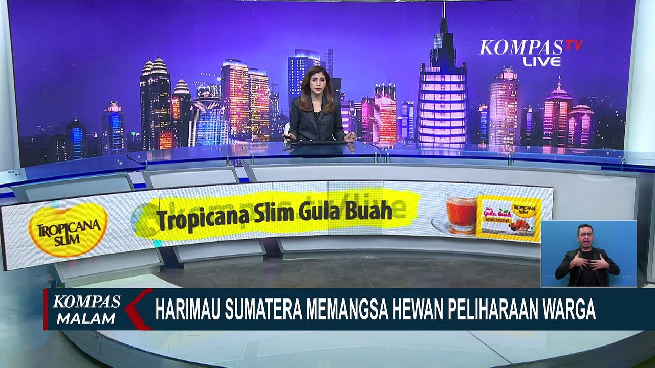 CCTV Rekam 2 Harimau Sumatera Mangsa Hewan Peli...