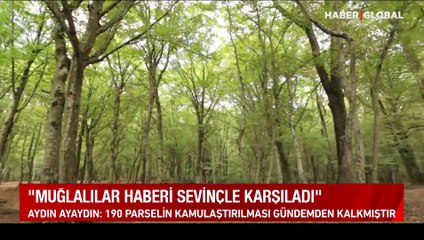 Ayaydın "Gözden geçirilmesini talep ettim" demişti, Erdoğan iptal etti