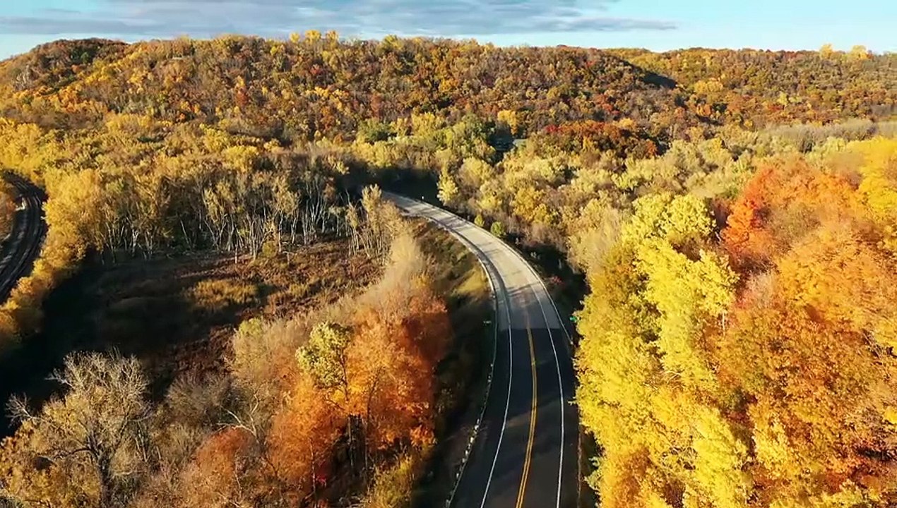 Driving middle of the Yellow forest @poland