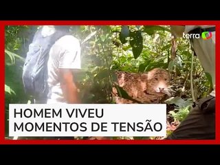 Guia turístico é atacado por onça-pintada na Amazônia peruana: 'Encontro único e memorável'