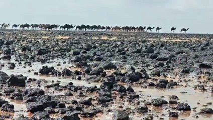شاهد.. بردية الشملي تملأ بحيرة آدما بالمياه