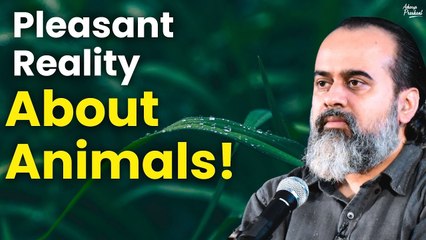 Pleasant Reality about animals || Acharya Prashant (2018)