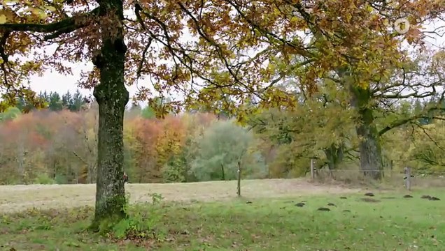 Sturm der Liebe Folge 4219 Herbe Enttäuschung