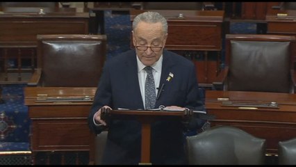 Il senatore Usa Schumer: in Israele servono nuove elezioni