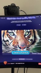 Ces 2 logiciels vont vous bluffer